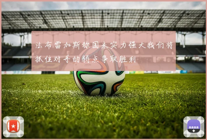 法布雷加斯称国米实力强大我们将抓住对手的弱点争取胜利