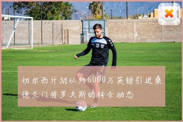 切尔西计划以约6000万英镑引进桑德兰门将罗夫斯的转会动态