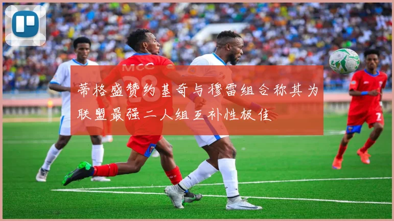蒂格盛赞约基奇与穆雷组合称其为联盟最强二人组互补性极佳