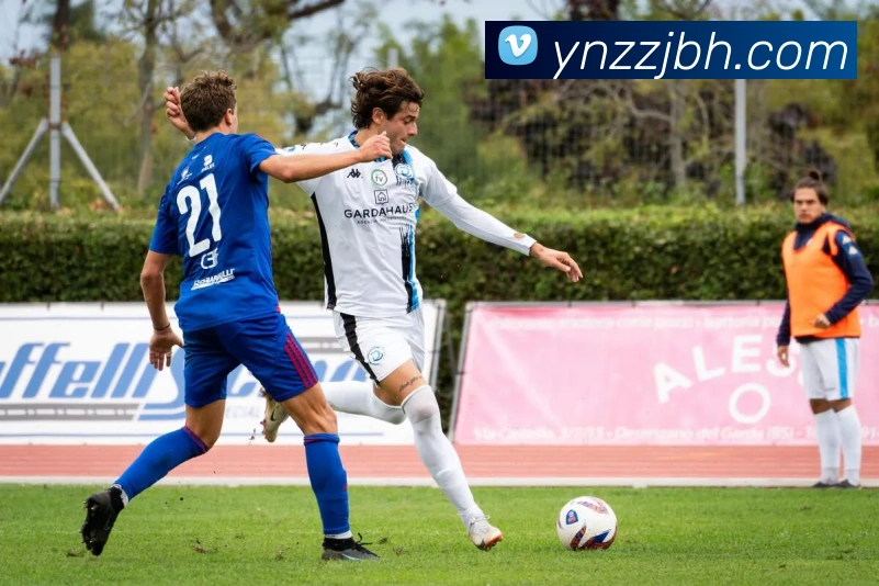 米兰体育网页官网平台生态图