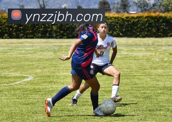 米兰体育网页官网全站App